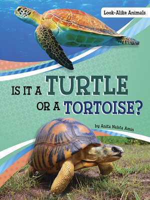 cover image of Is It a Turtle or a Tortoise?